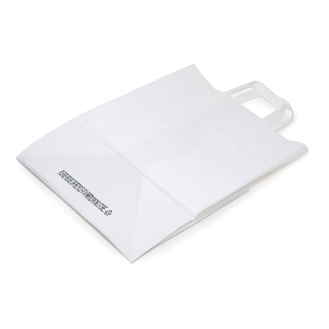 Large Takeout Shopping Bag, 12" x 10" x 16"