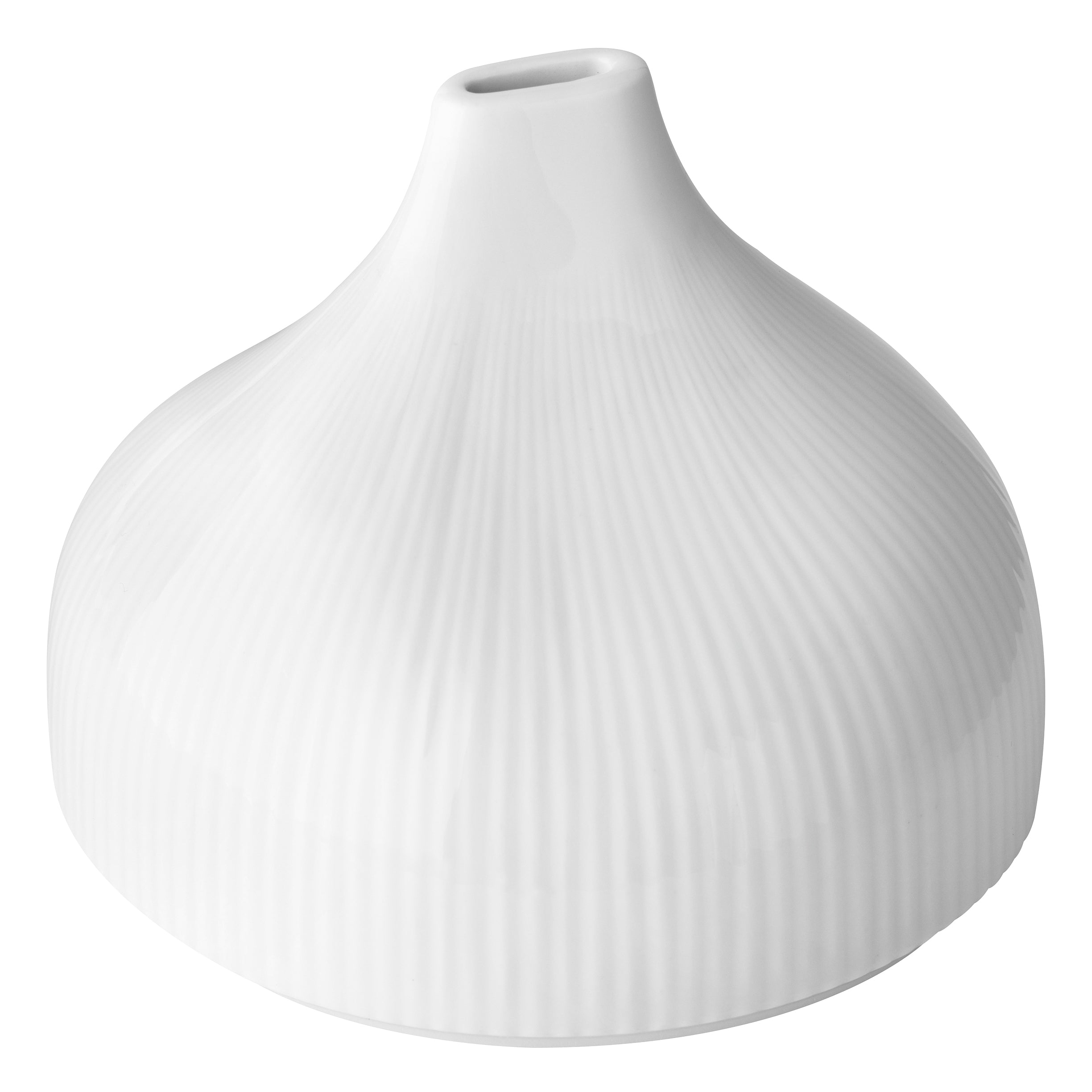 Lid For Degustation Plate L 5.75" W 4.75" Canopee