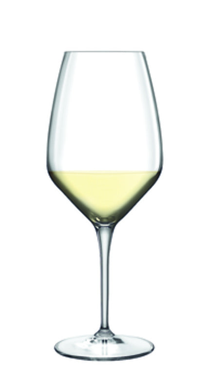 Sauvignon Wine Glass, 11.75 oz., Atelier