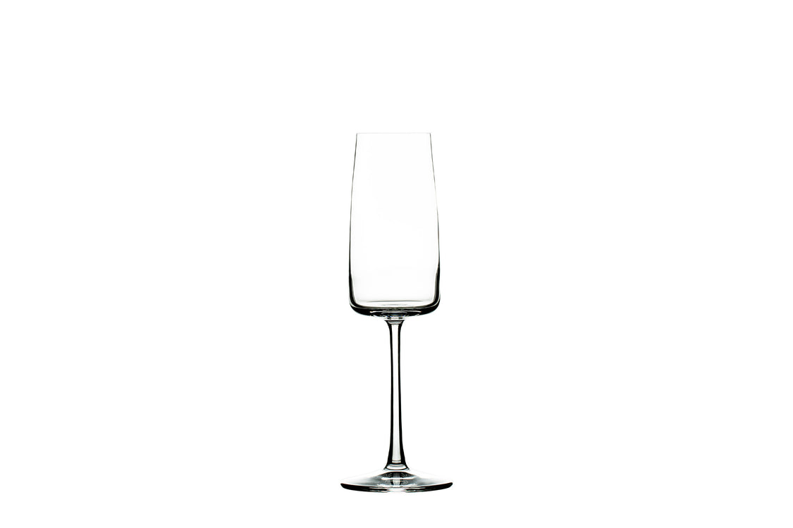 Essence Champagne Glass 10 oz., 10 oz.