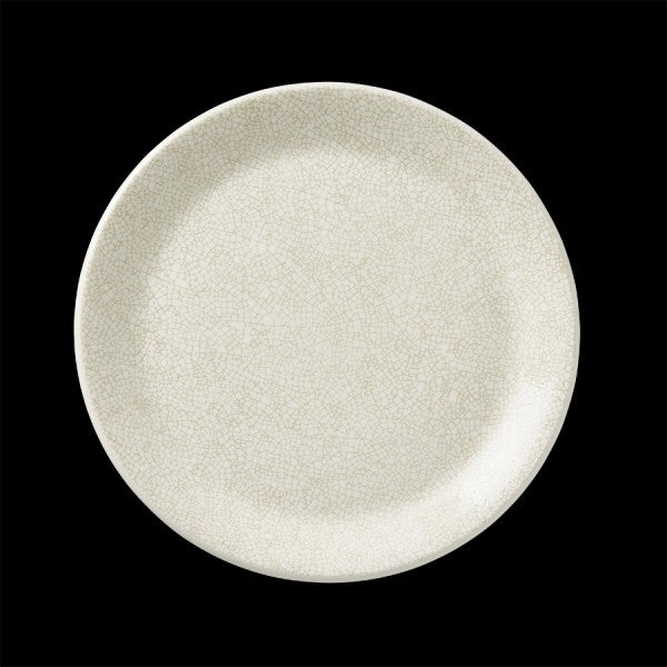 Ink Crackle Coupe Plate 10.0"