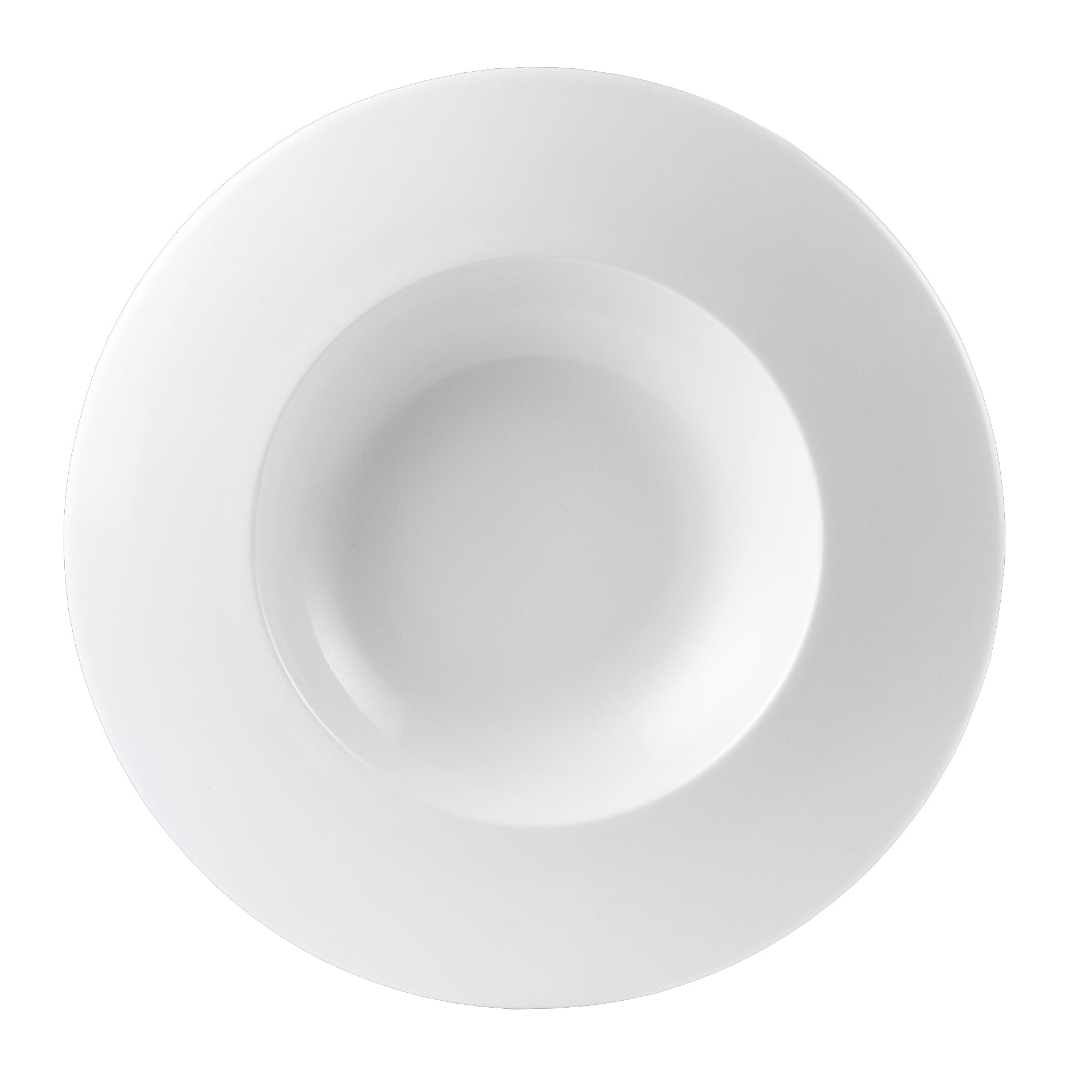 Large Plate 12.0" Dia. (19.0 Oz) Float