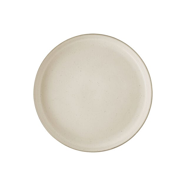 Joyn Ash 9-3/8" Gourmet Plate