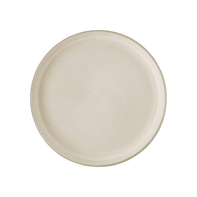 Joyn Ash 10-1/4" Gourmet Plate