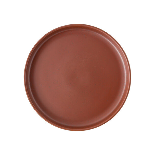 Joyn Spark 10-1/4" Gourmet Plate
