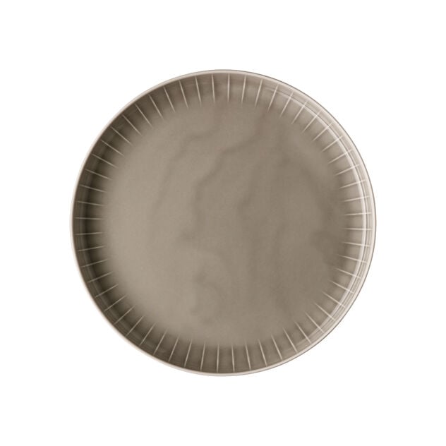 Joyn Gray 10-1/4" Gourmet Plate