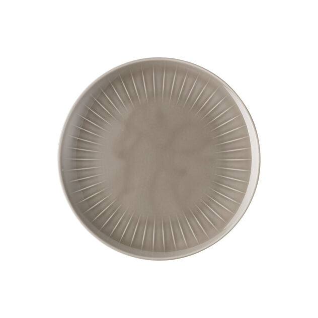 Joyn Gray 9-1/2" Plate