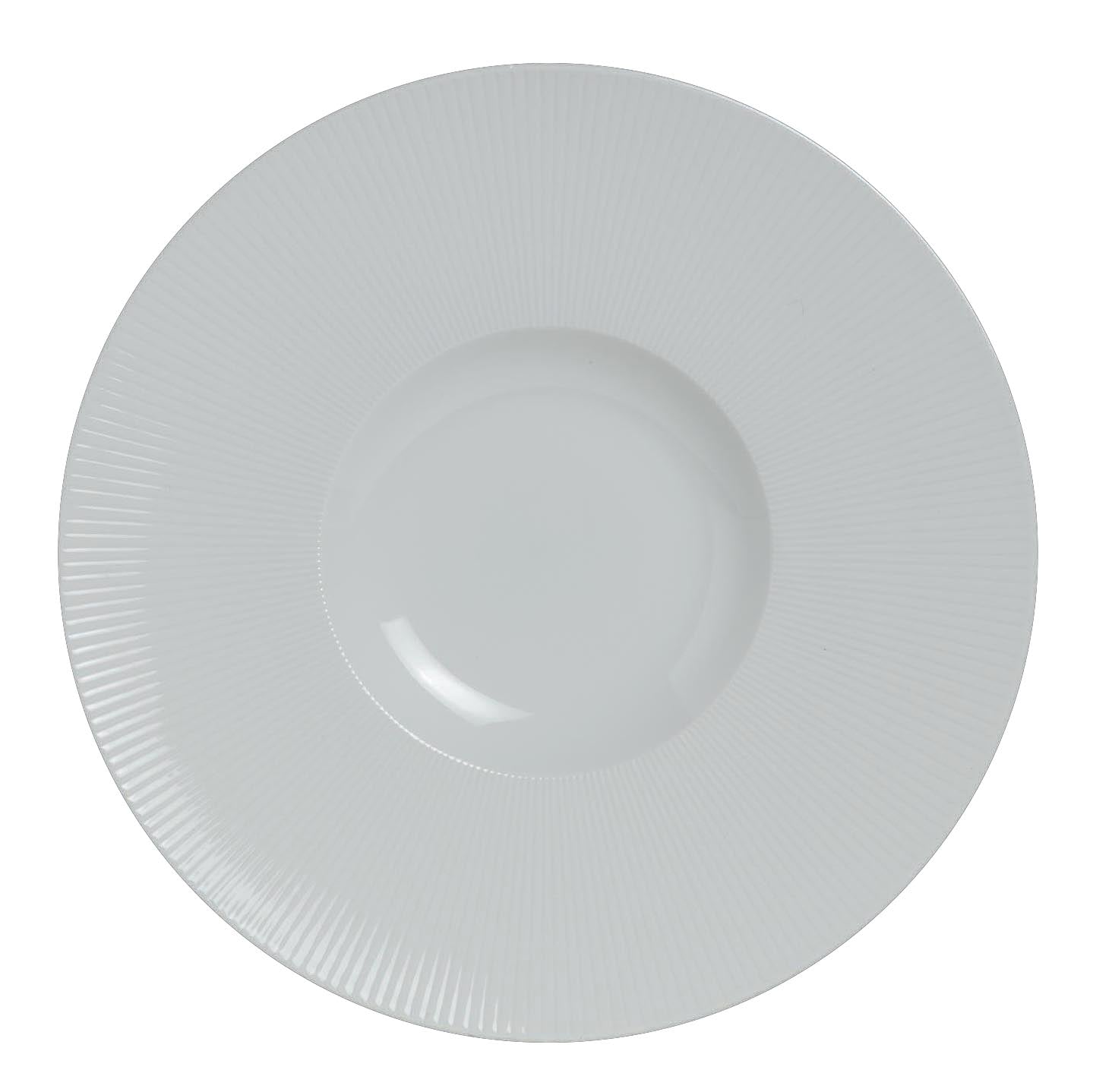 Signature Gourmet Plate 10.63" Dia. Sonata