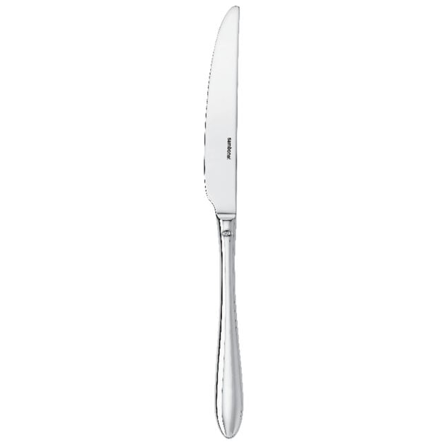 Dream 9-1/2" Table Knife