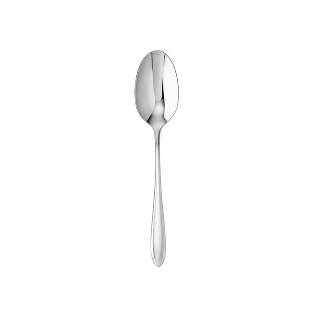 Dream 5-1/2" Tea/Coffee Spoon