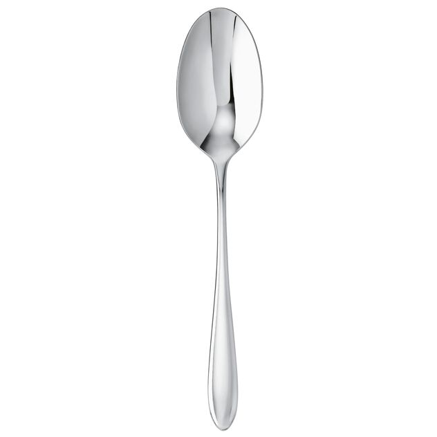 Dream 9-3/4" Serving Spoon