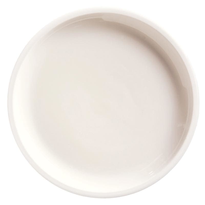 Porcelana 9" Pellet Plate, Bright White