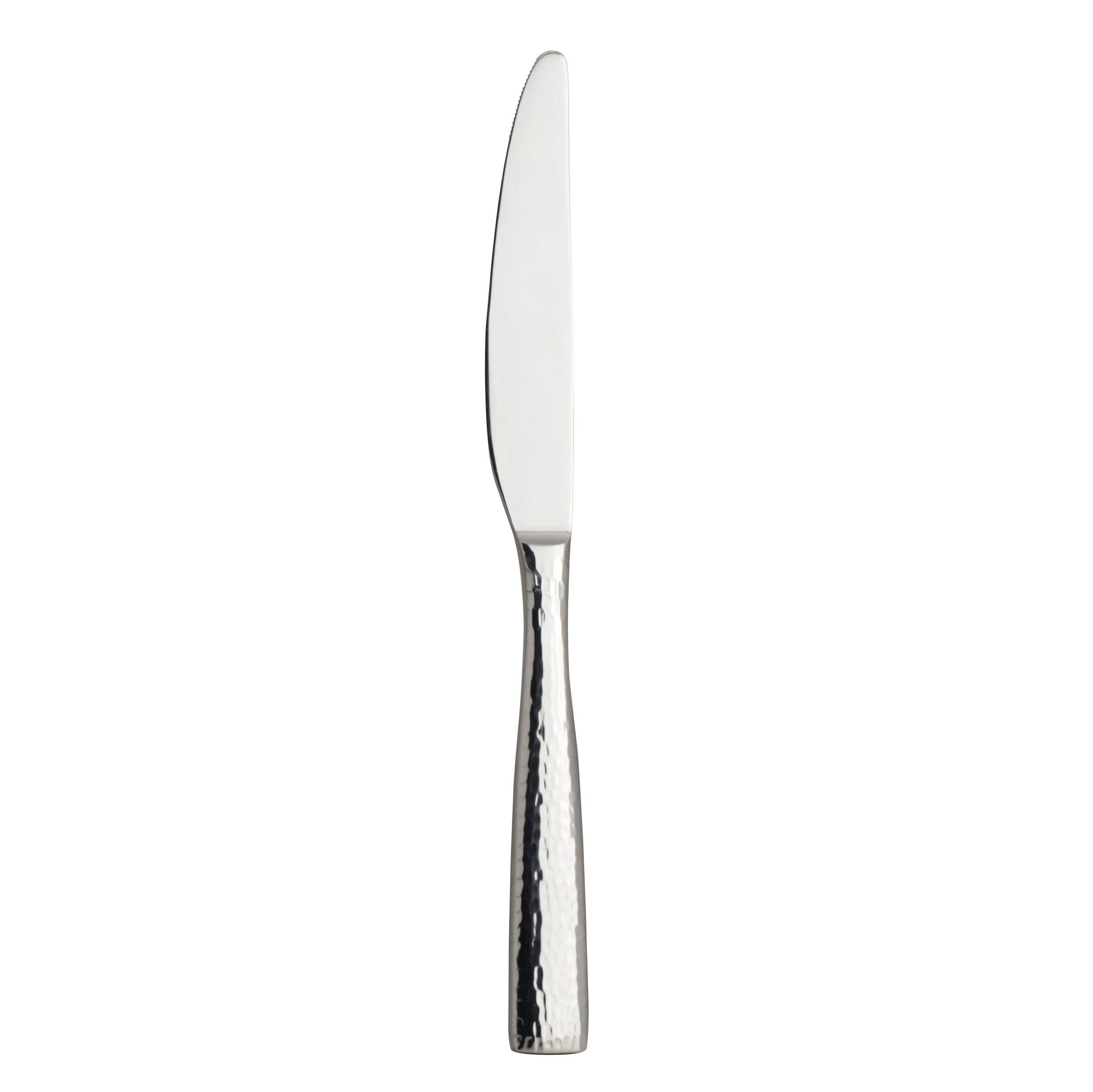 Dinner Knife L 9.125" Becki