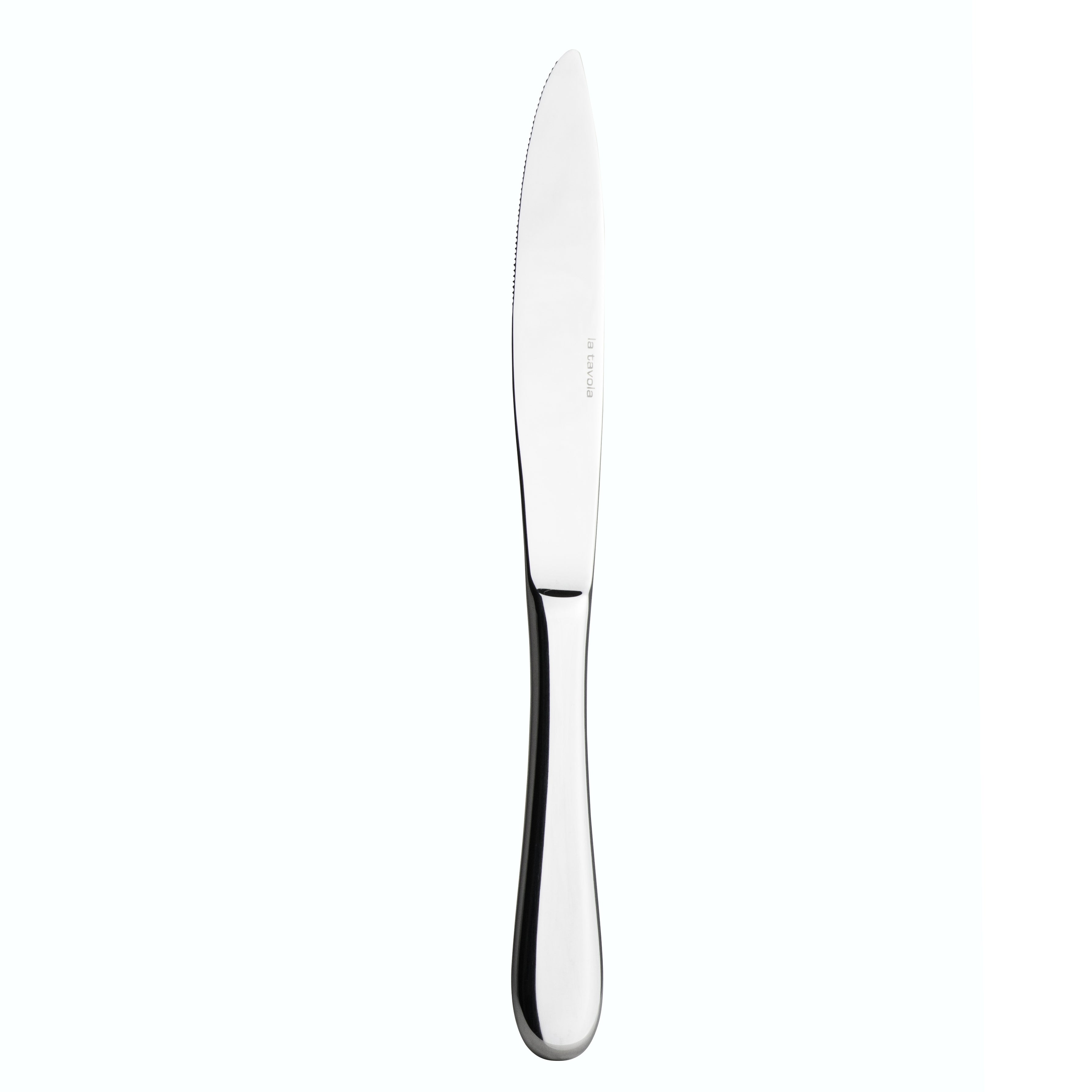 Dinner Knife L 9.5" Charme Ss