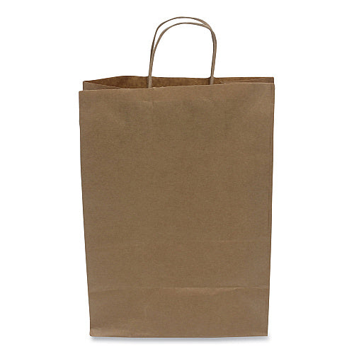 Small Kraft Paper Shopping Bag 10" x 5.5" x 13.25"