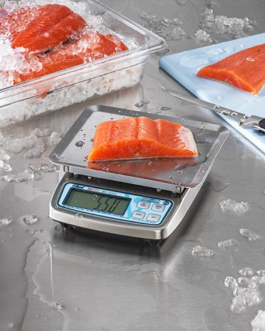 BRAVO! Submersible Waterproof 10 lb. Digital Portion Scale - 115V