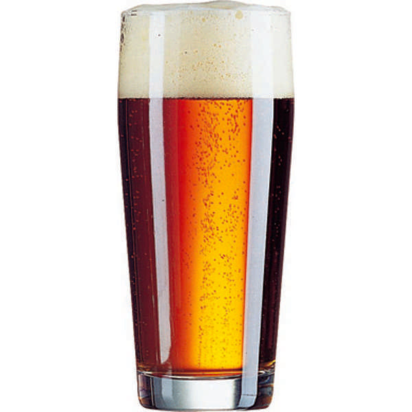 Willi 16 oz. Tumbler