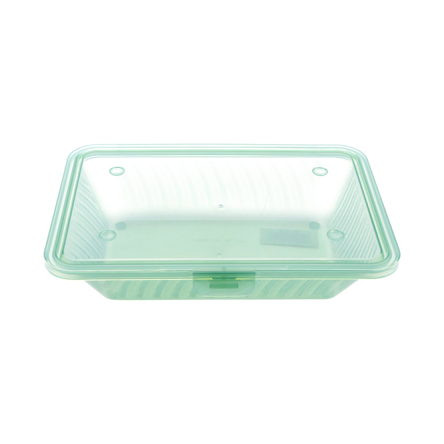 Eco-Takeouts Half-Size Flat-Top Food Container, 9" x 6.5", Jade