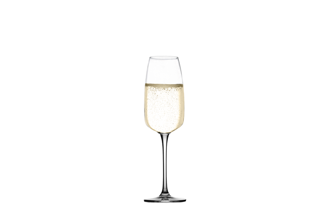Lotus Champagne Glass, 10.5 oz.