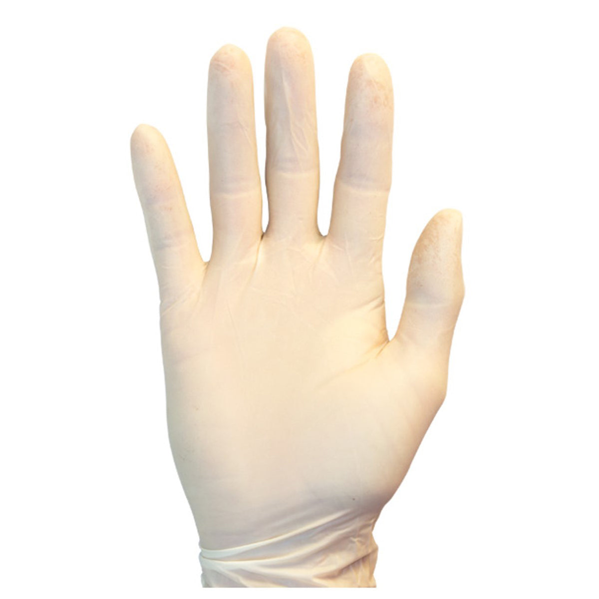 Powder Free Disposable Latex Gloves, Large