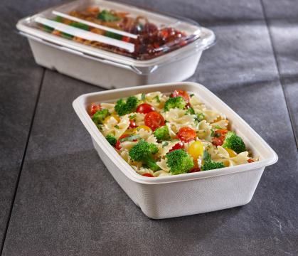 Pulp Rectangle Container, 36oz., 6"x9"