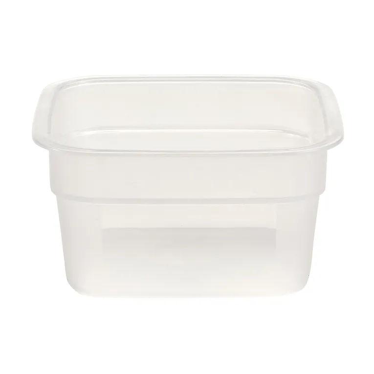 FreshPro Camsquares® ½ qt – Translucent Mini
