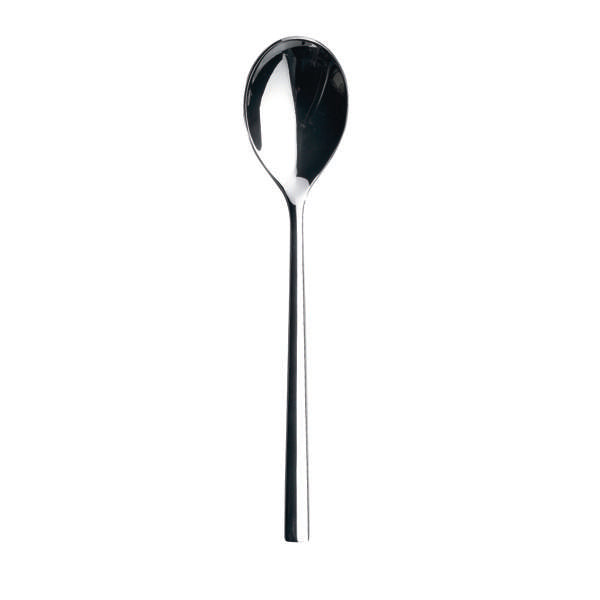 Sola 8.1" Living Mirror Dinner Spoon