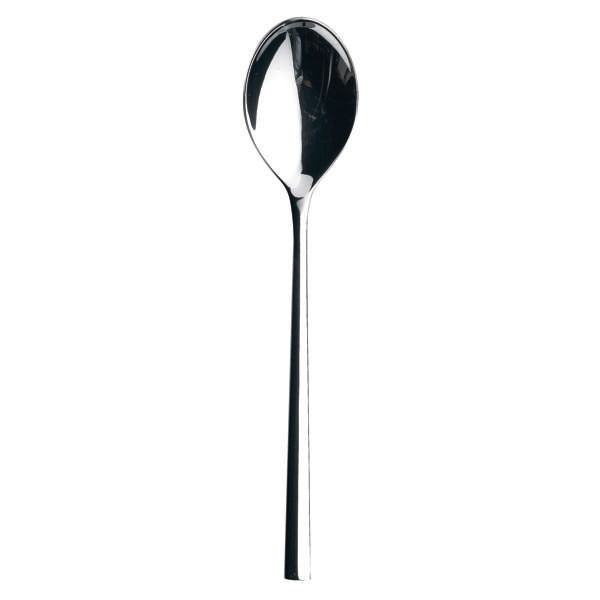Sola 8.9" Living Mirror Dessert Spoon