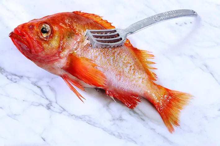 Fish Scaler, 8 1/2"