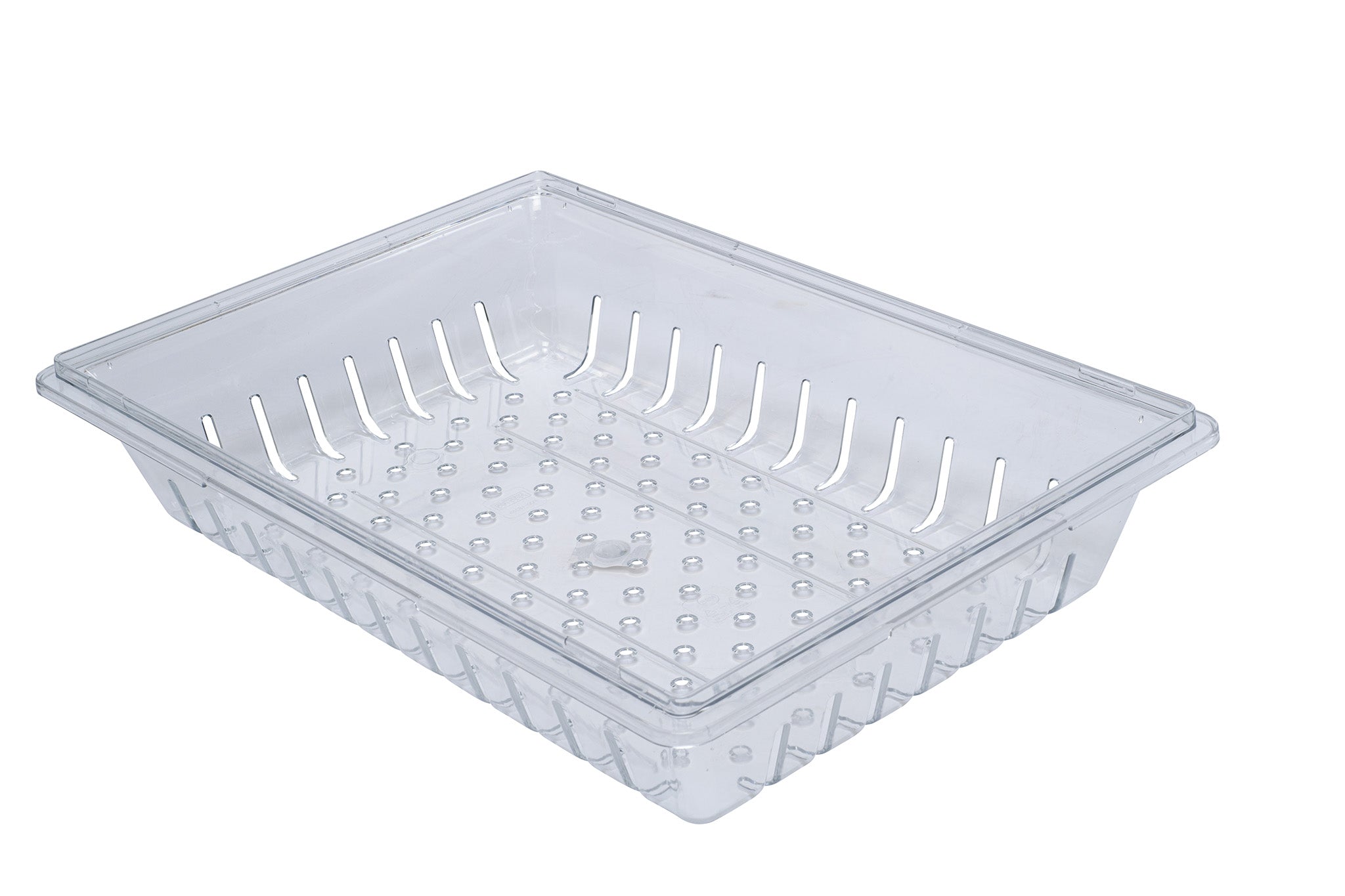 Food Storage Box Colander, 18" x 26" x 5", Clear, Polycarbonate