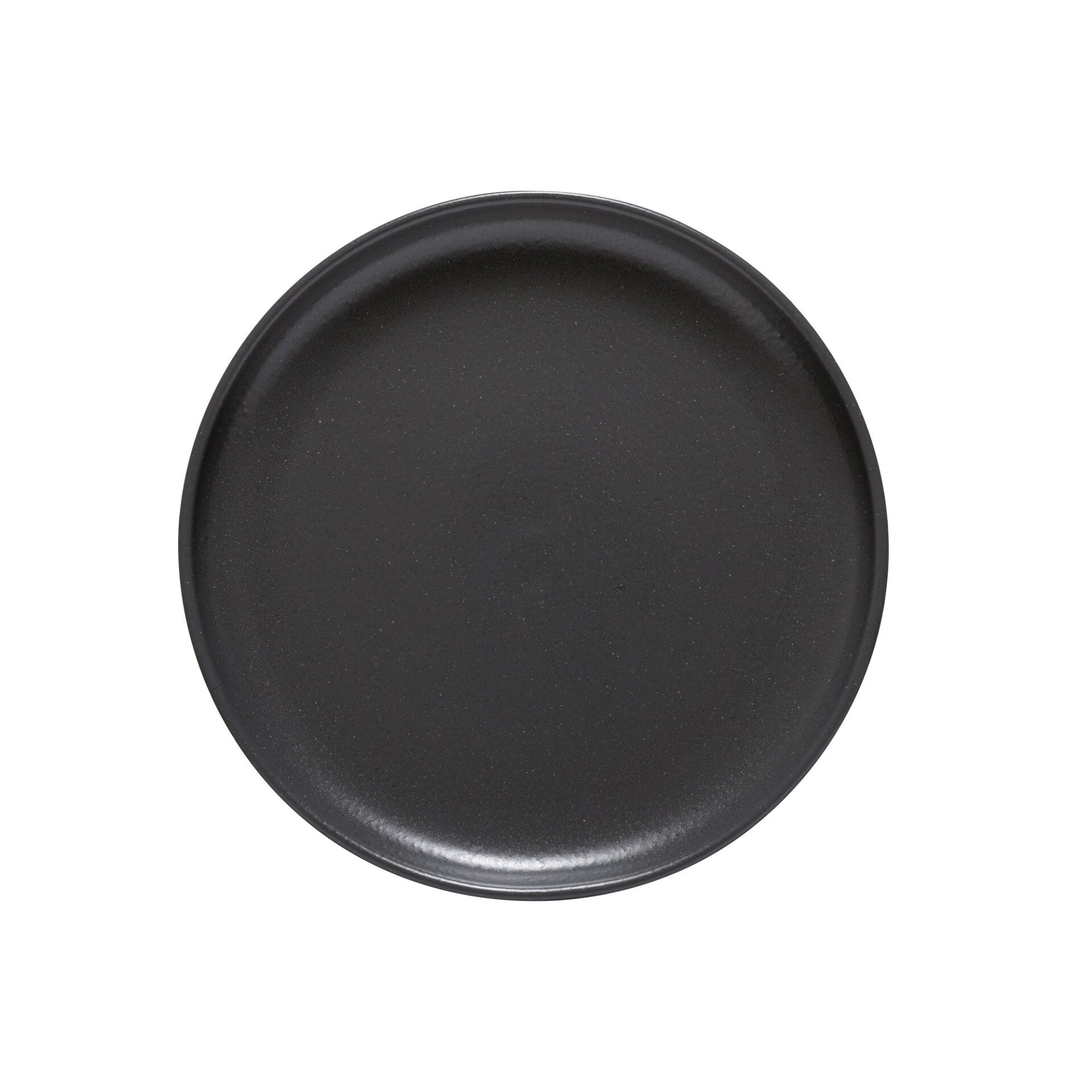 Pacifica Dinner Plate, 11", Seed Grey