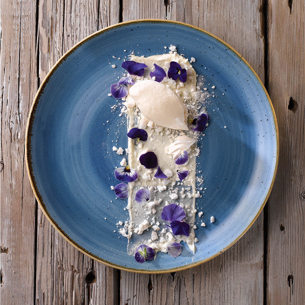 Stonecast 11 1/4" Cornflower Blue Coupe Plate