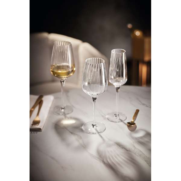 Chef & Sommelier 16.5 oz. Symetrie Universal Wine Glass