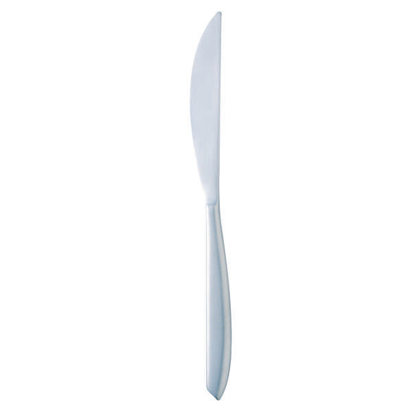 Arcoroc 9.3" Satineo Dinner Knife
