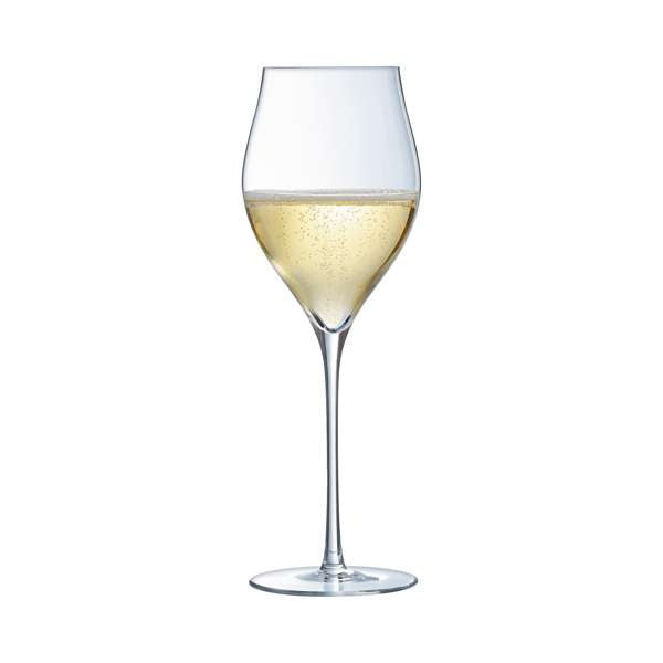 Exaltation 13 oz. Universal Wine Glass