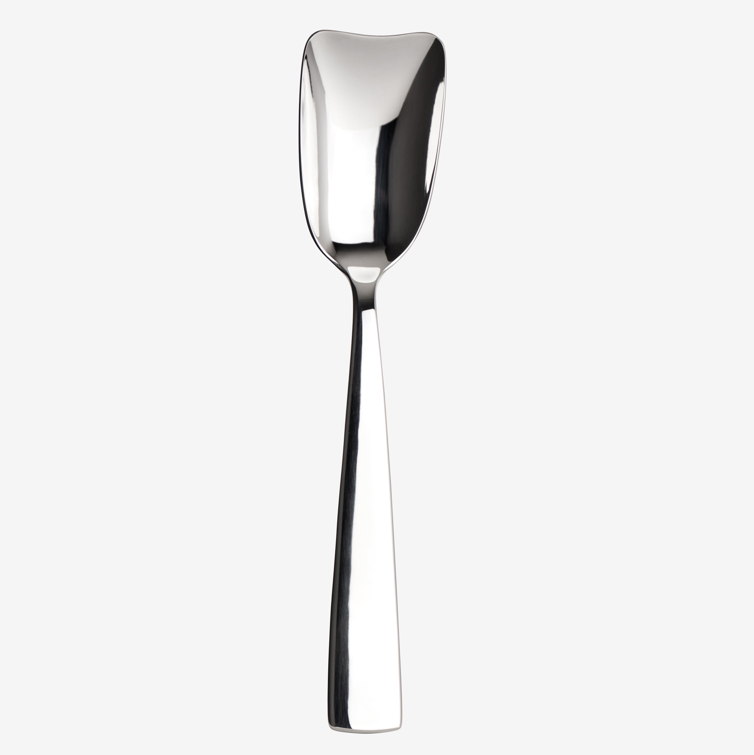 Serving Spoon L 9.25