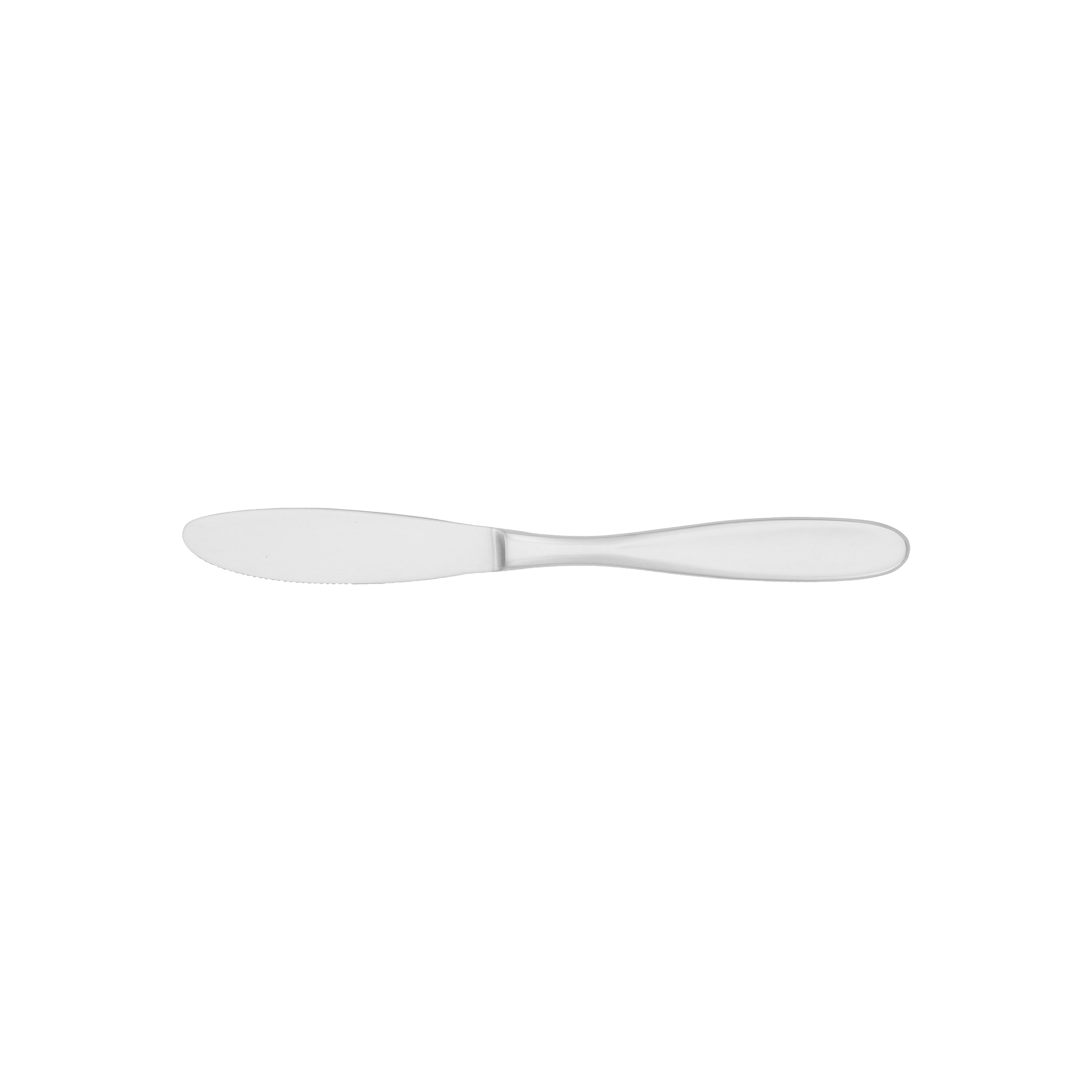 Modernaire Dinner Knife 8.75