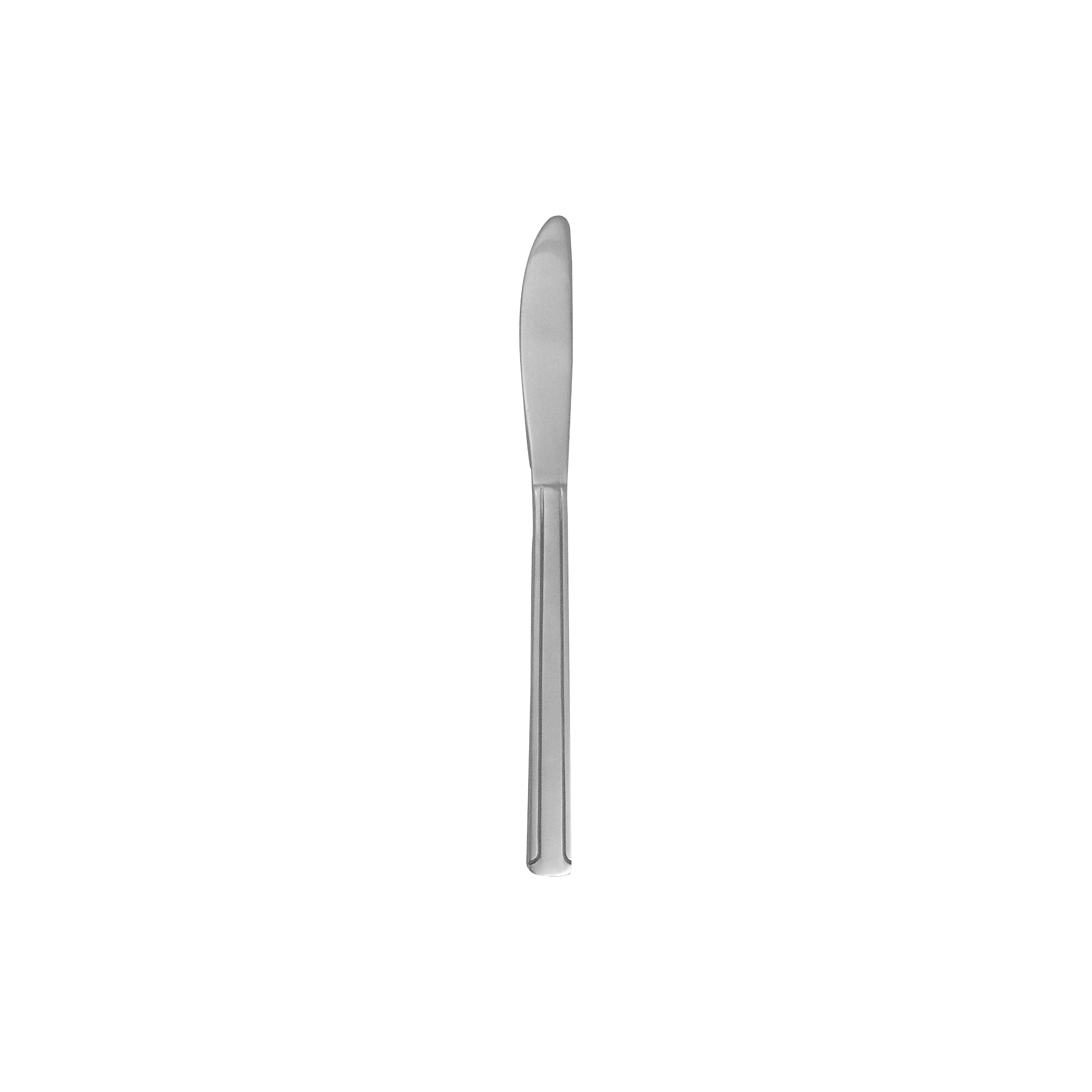 Dominion Medium Dinner Knife 8.25