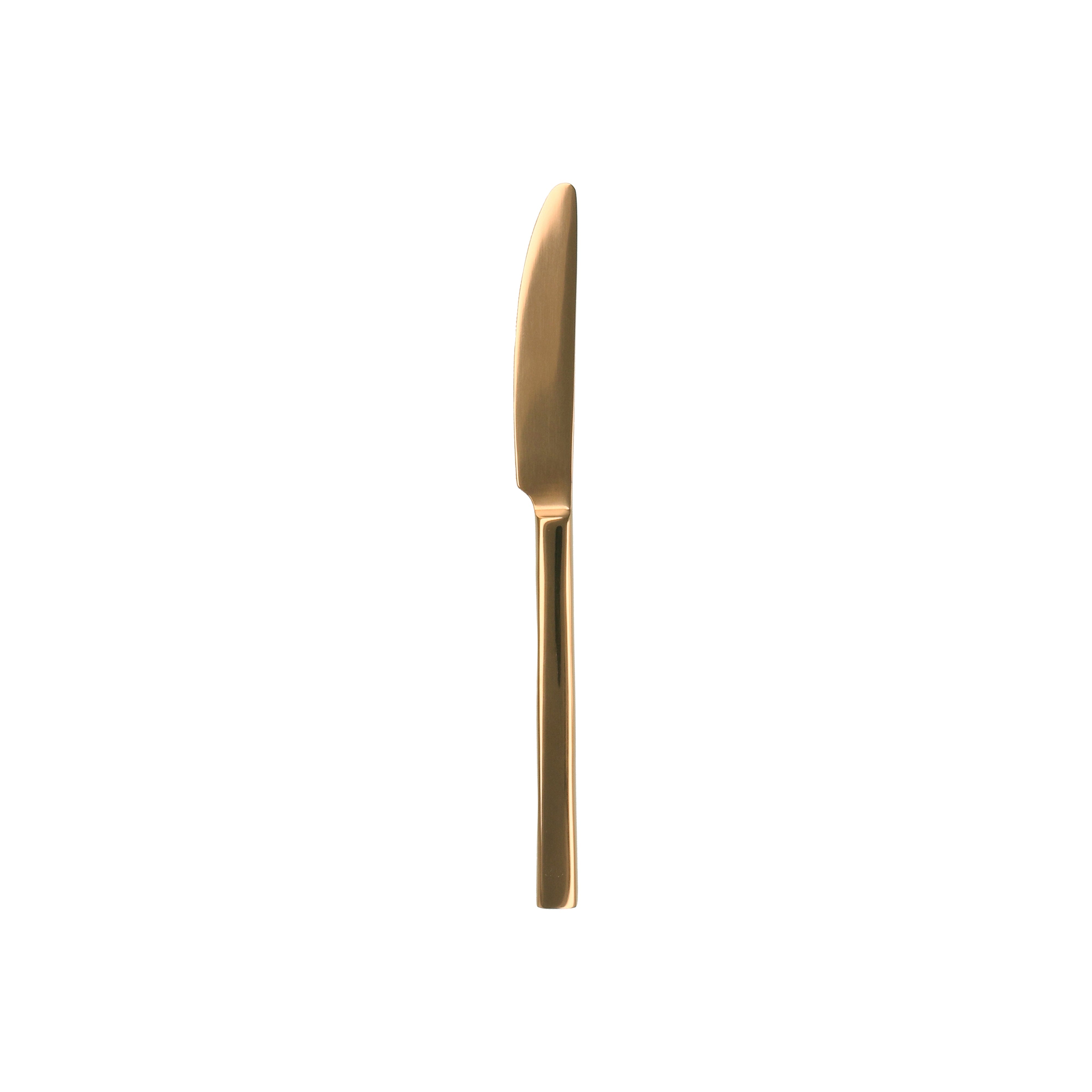 Semi Dinner Knife 9