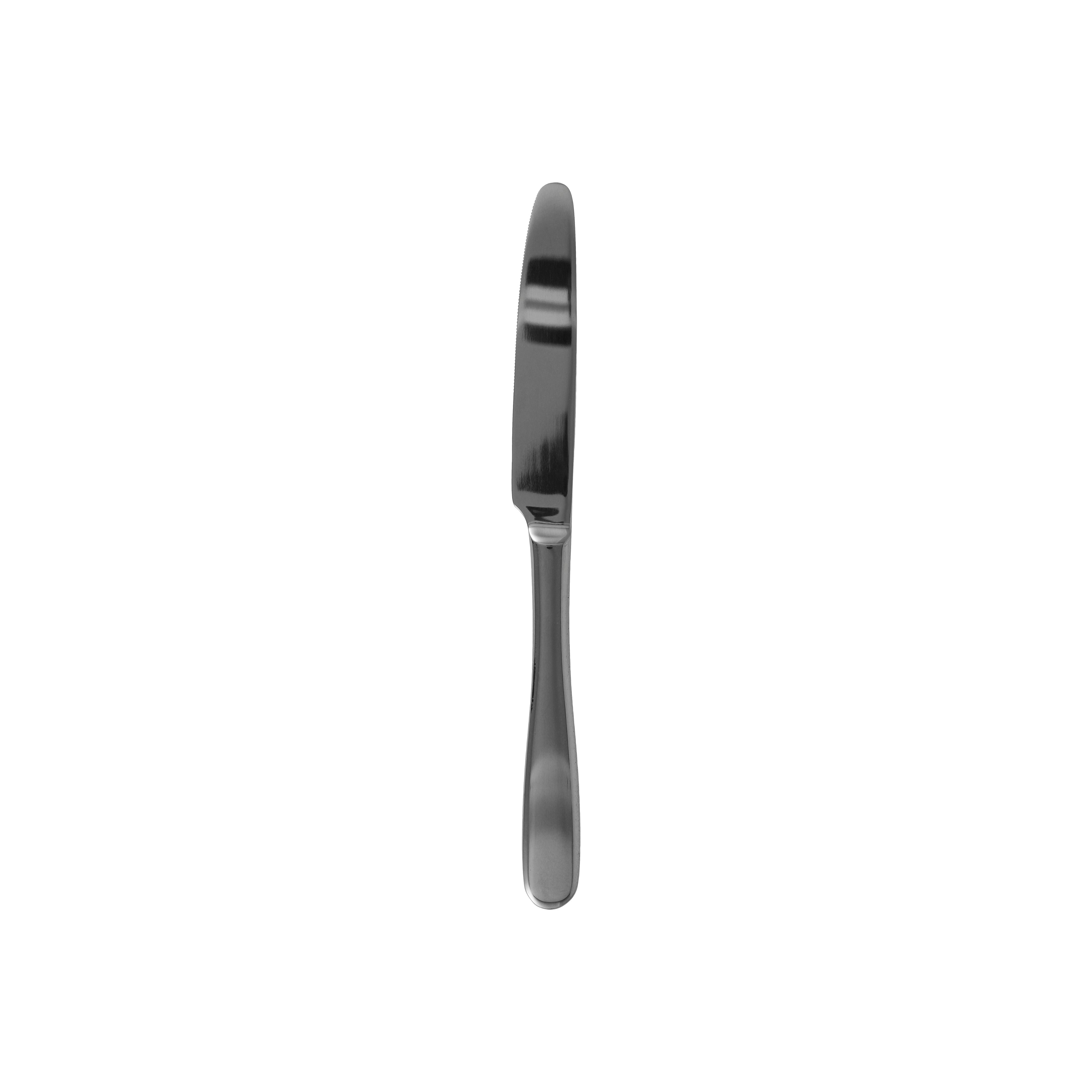 Vacanza Table Knife 9.25