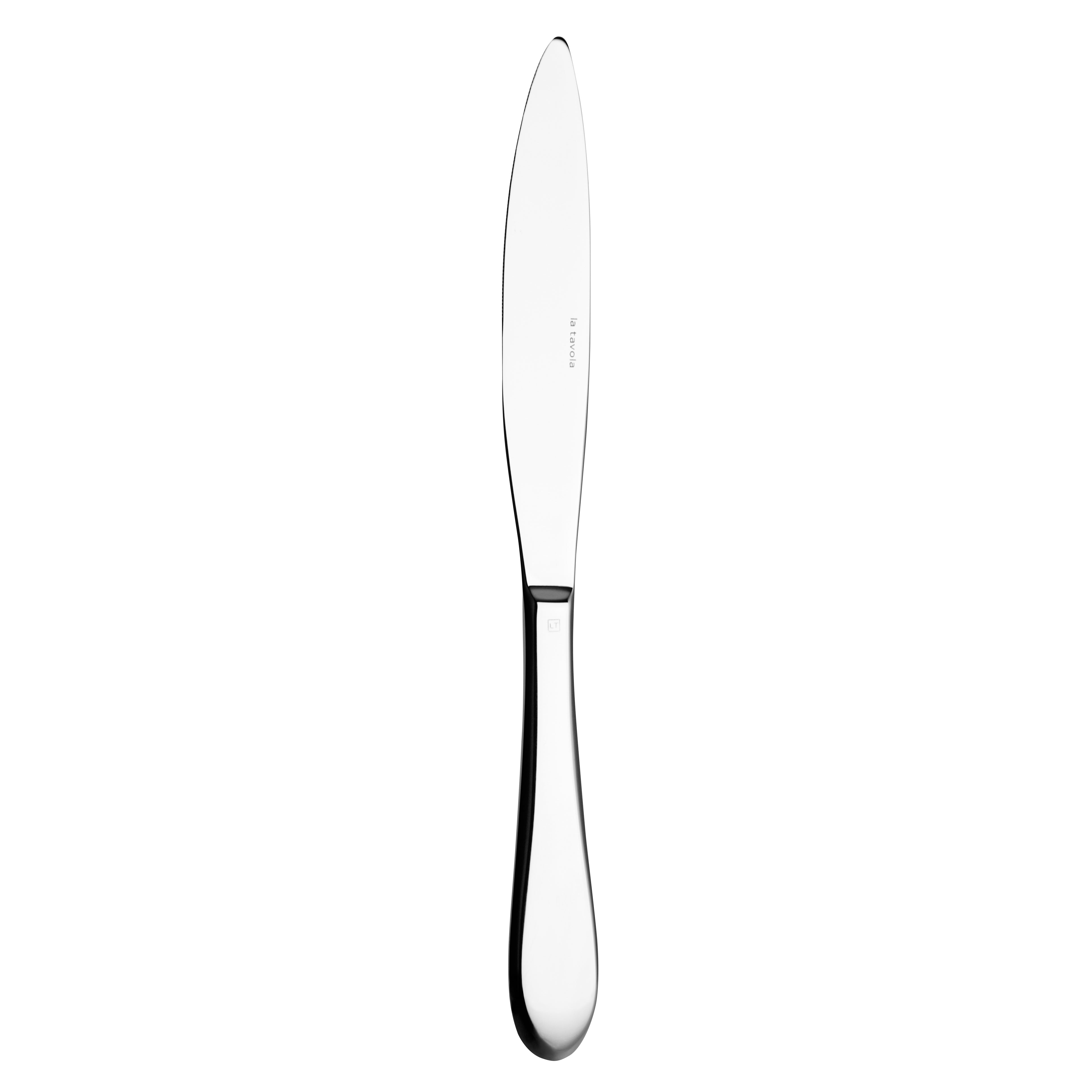 Dinner Knife (S.H.) L 9.75" Premiere Ss