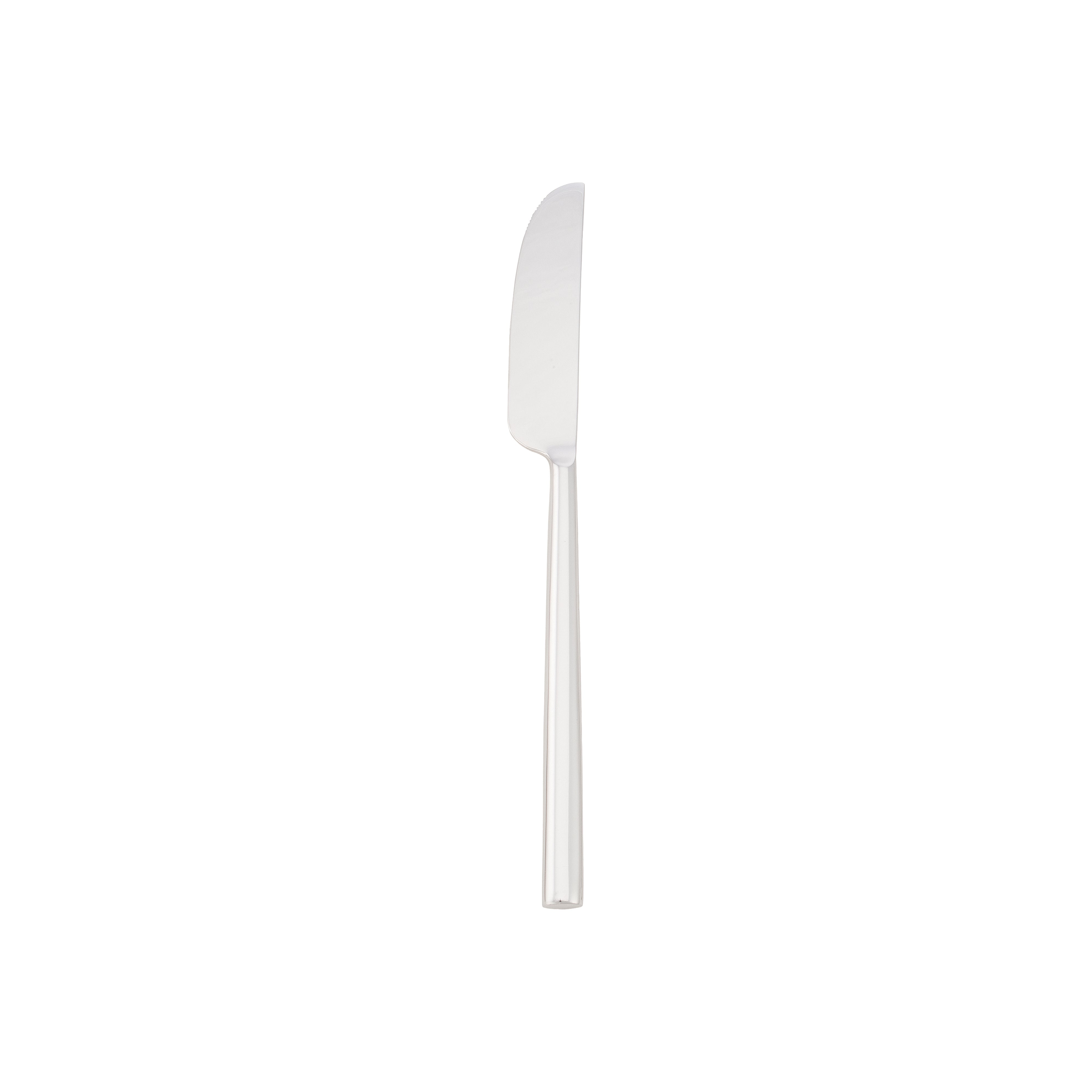 Erik Dinner Knife 8.75