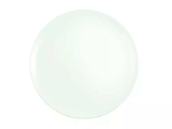 Coupe Plate 8 7/8"
