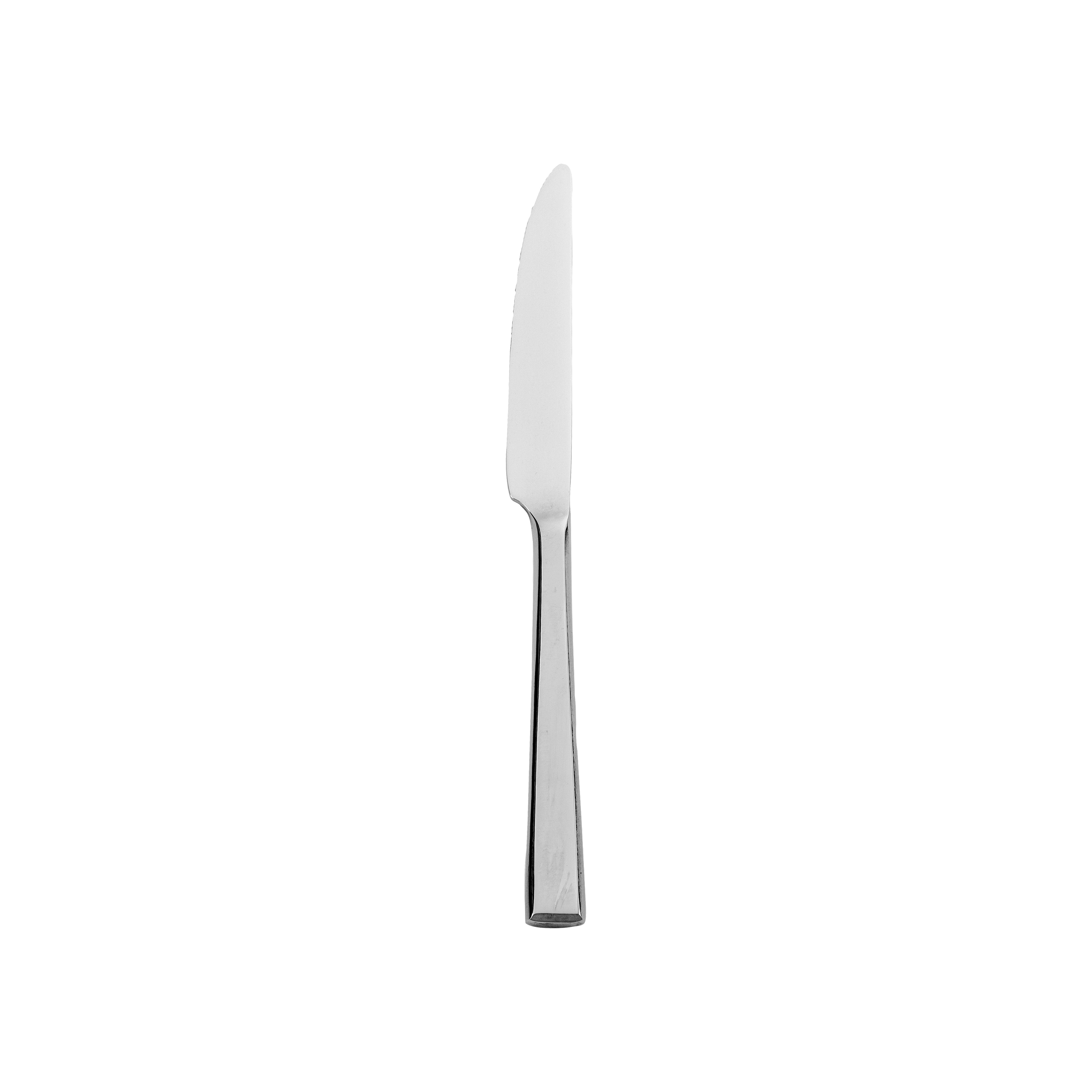 Baypoint Steak Knife 9.5