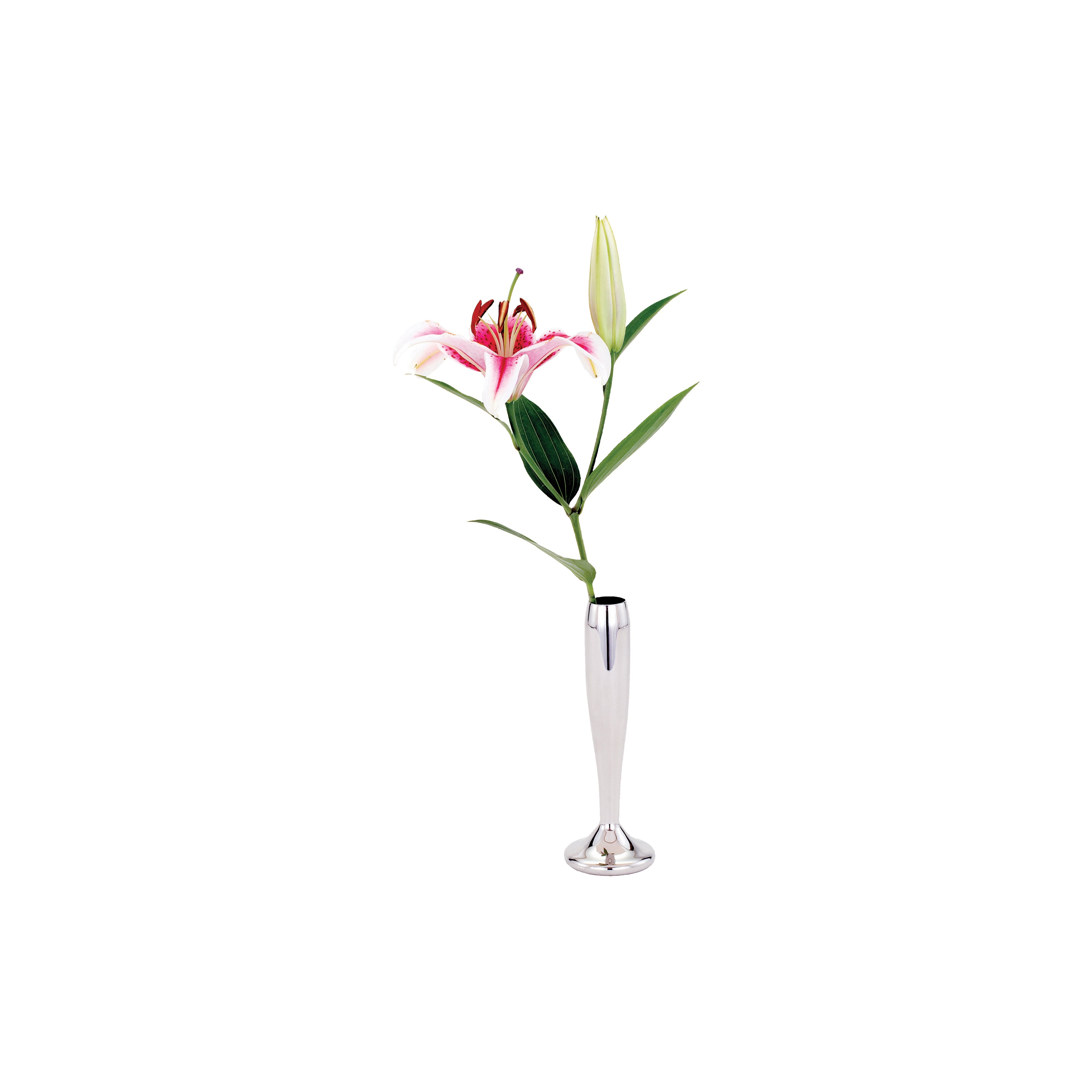 Soprano HW Bud Vase