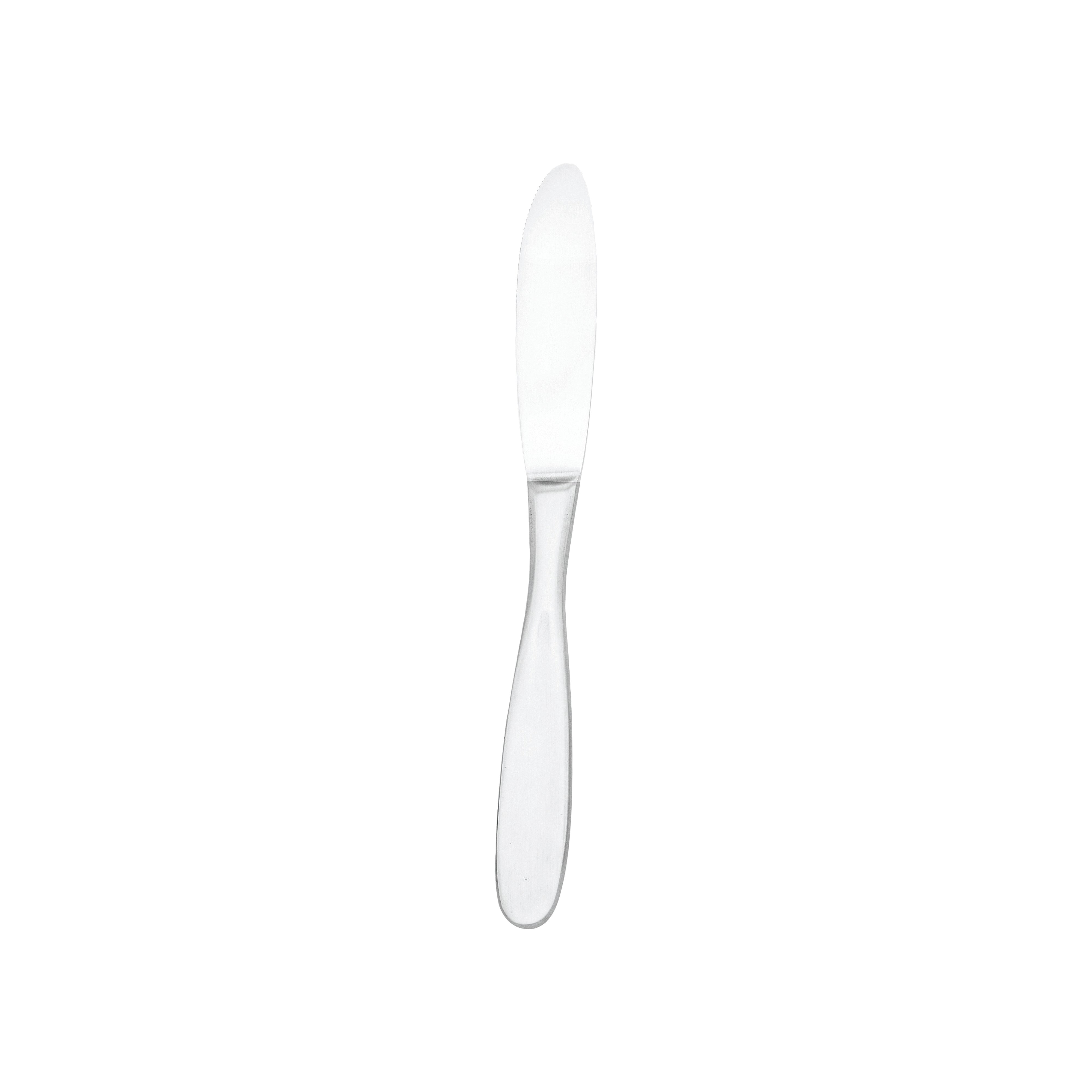 Modernaire European Dinner Knife 9.5