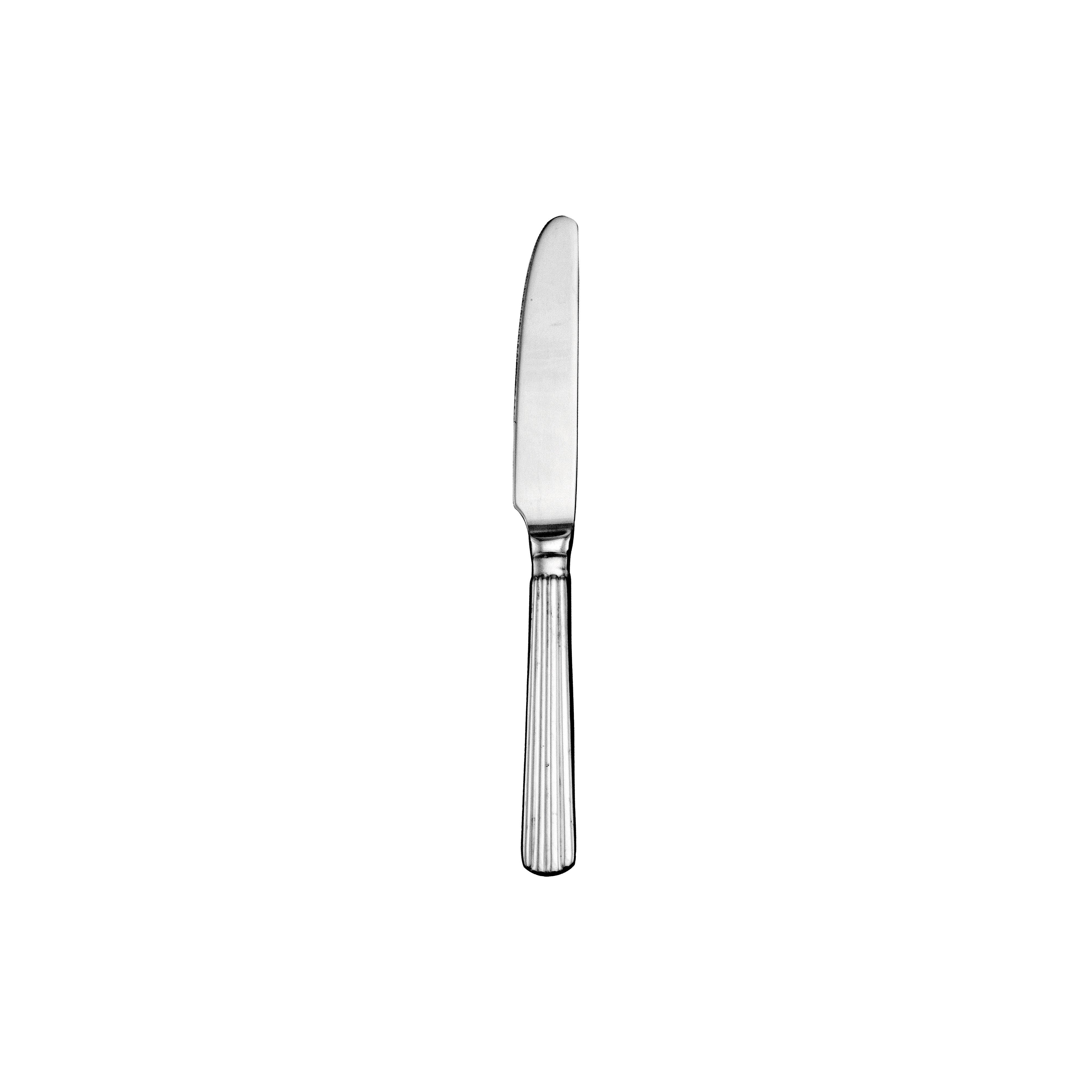 Hyannis Dinner Knife 8.375