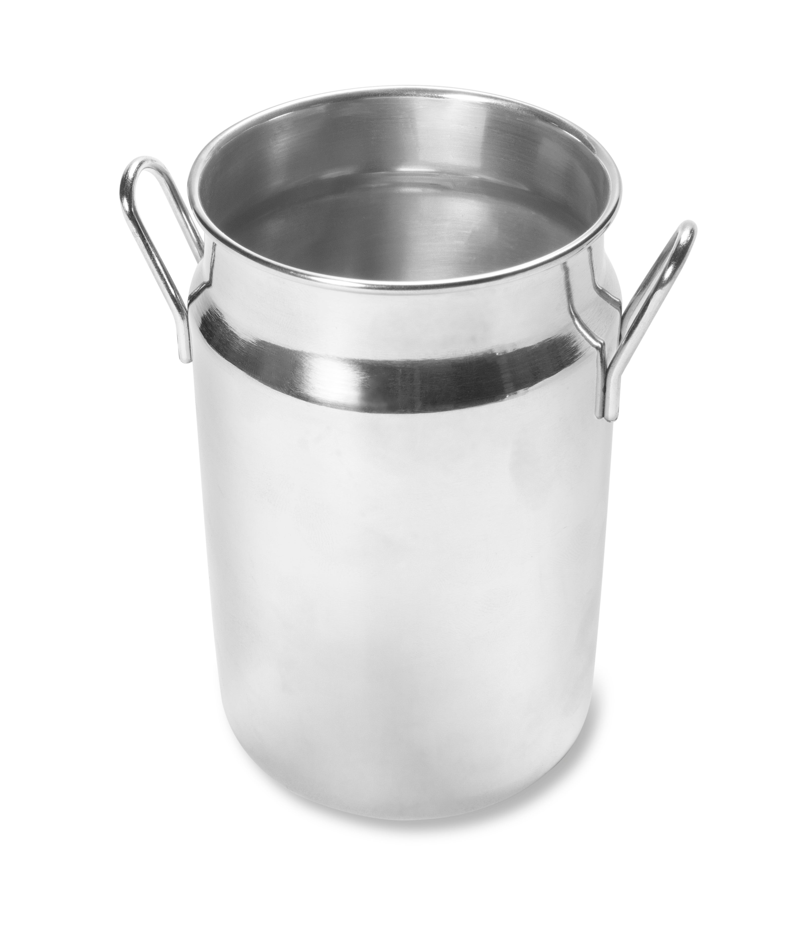 16 3/10 oz. Mini Stainless Steel Milk Can