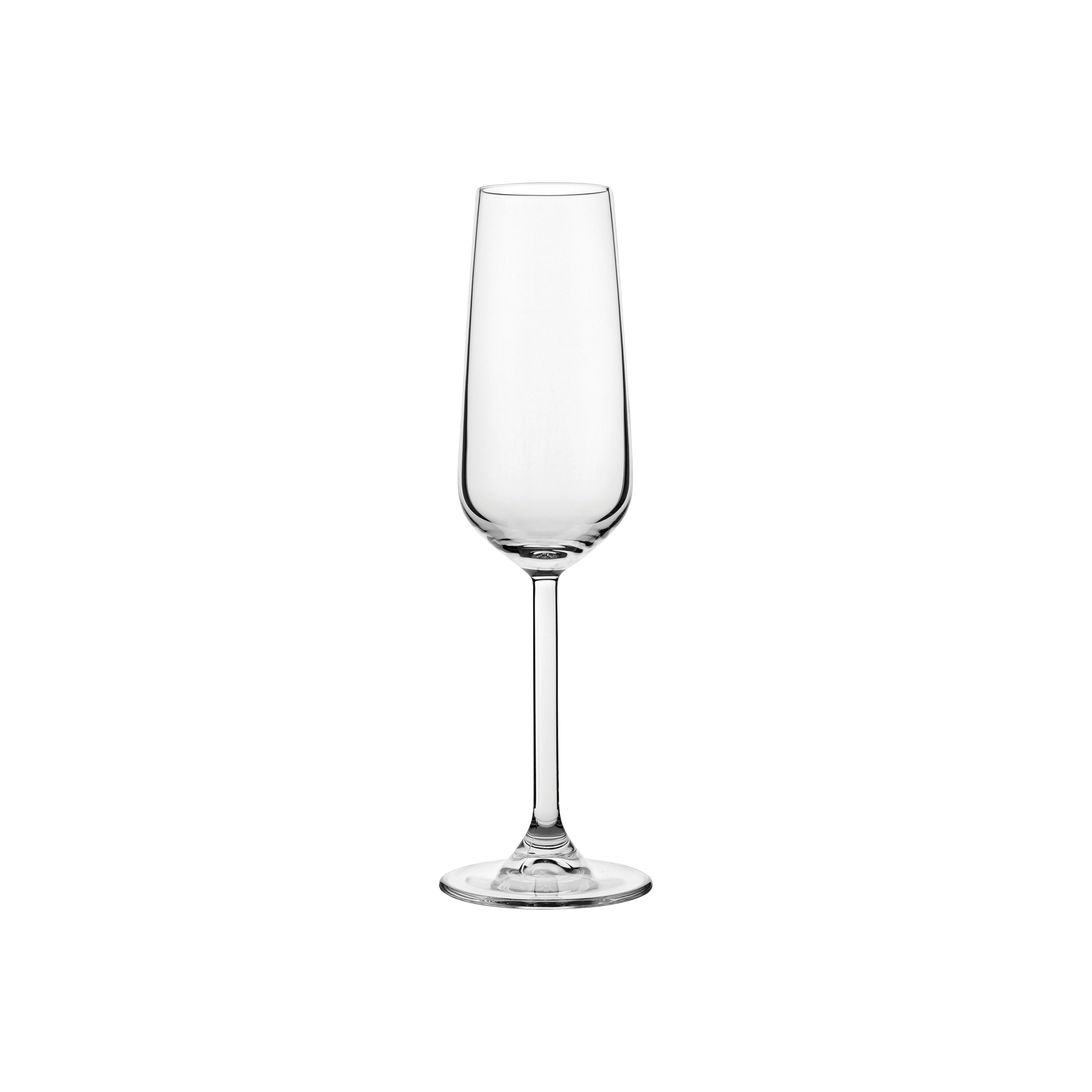 Allegra Champagne Flute 6.75oz