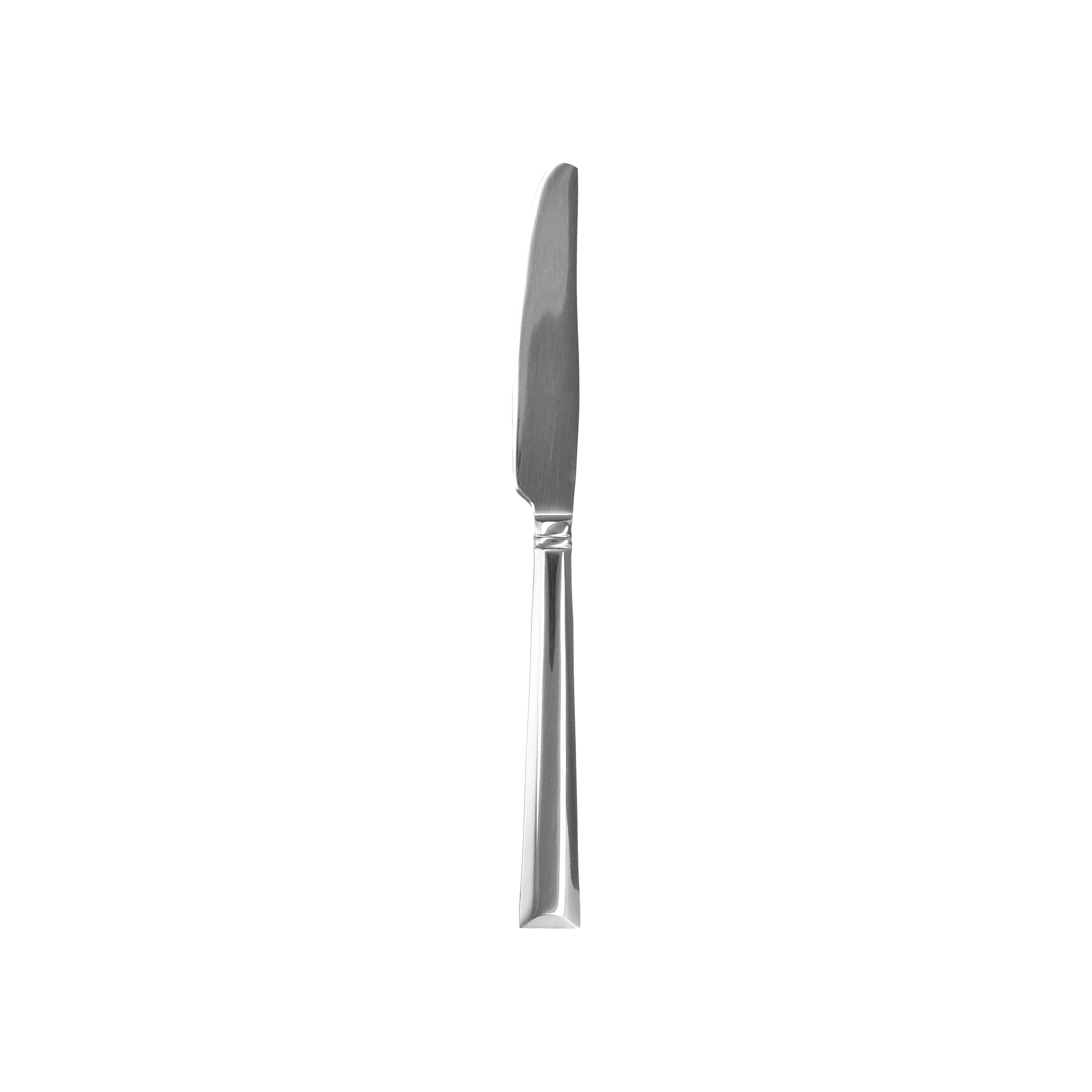 Truss European Dinner Knife 9.75